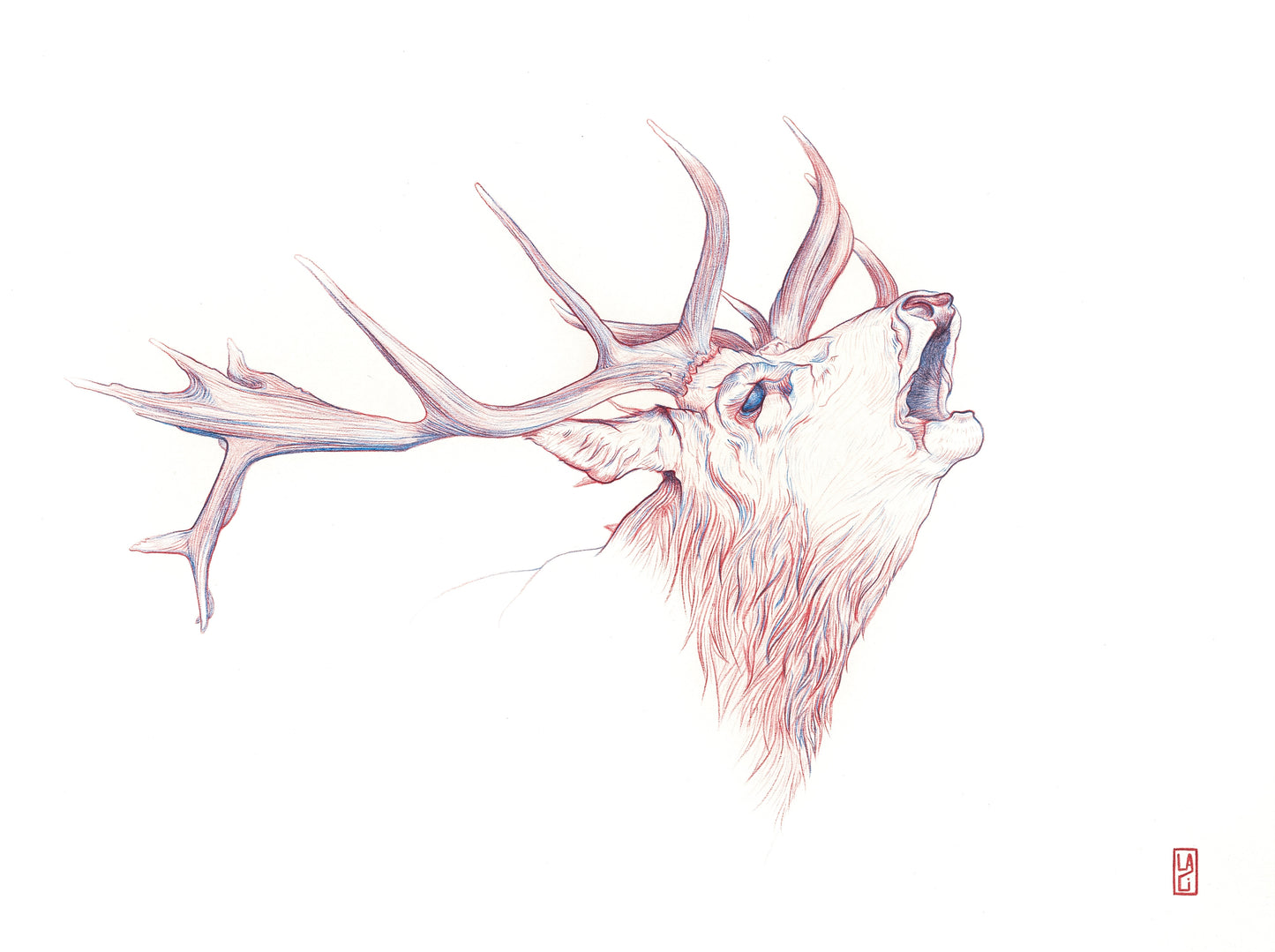 Dear Deer Fine Art Print