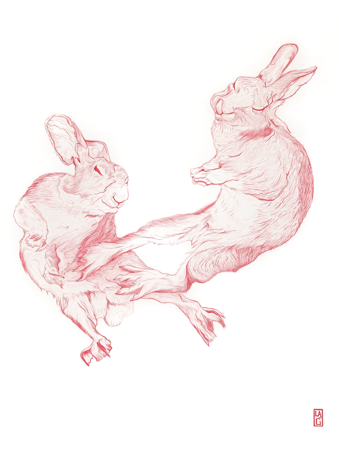 Hare Fight Fine Art Print